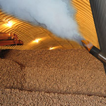 Potato storage facility, potatoes being treated with spray.
